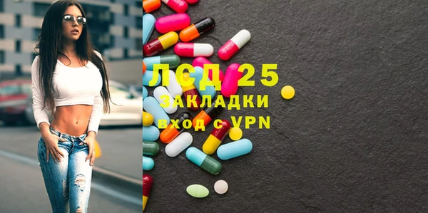 стаф Алексин