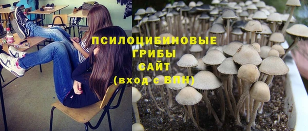 стаф Алексин