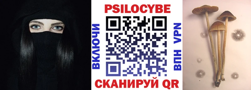 Псилоцибиновые грибы мицелий Югорск